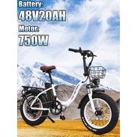 AliExpress NONE E Bike Folding 750W Powerful Motor 48v20Ah Lithium Battery Electric Bike Disc Brake Adult 20*4.0 Inch Fat Tire Electric Bicycle