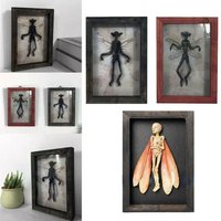 Mysterious Ghost Specimen Gothic Decor Photo Frame Taxidermy Animals Oddities and Curiosities Fairy Skeleton Witchy Decor