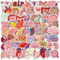 65PCS Cartoon Human Organ Cute Medical Anatomy Sticker Kid Toy DIY Graffiti Waterproof Stickers Laptop Bicycle Guitar Phone