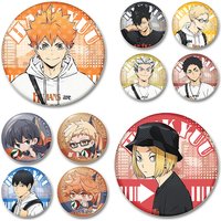 Hinata Shouyou Yuu Nishinoya Kageyama Hiyu Sawamura Daichi Anime Brooch Pins on Backpack Cartoon Cute Badge for Clothes Jewelry