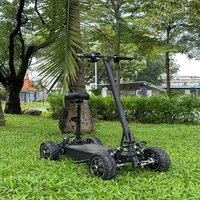Electric Golf Carts Adult Elderly Four Wheeled Vehicle Skateboard Scooter Trolleys for Golf Clubs and Courses