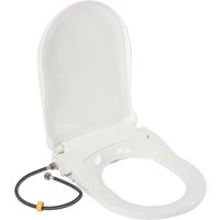 D Type Toilet Seat with Bidet and Integrated Bidet, Removable Double Nozzles, White