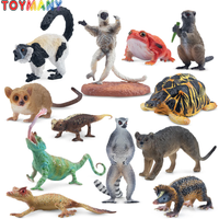 Toymany 12pcs Simulation Madagascar Animals Mini Animal Figures Set Cake Toppers for Kids Children Gift Collectible Figurines