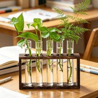 Wall Hanging Hydroponic Plant Propagation Glass Vase Transparent Tubes Vase with Wooden Desktop Home Office Garde Decoration