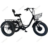 AliExpress NONE 20-Inch, fat tire electric pedal tricycle snow lithium battery bike