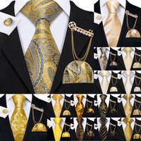 Barry.Wang Gold Jacquard Mens Tie Hanky Cufflinks Brooch Set Yellow Beige Champagne Necktie For Male Wedding Business Gift