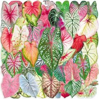 50 Sheets of Colorful Taro Leaf Stickers, Colorful Tropical Foliage Plant Elements, DIY Decorative Materials for Journals