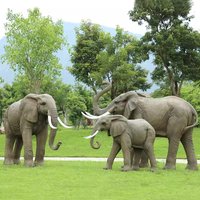 Outdoor Large Simulated Animal Elephant Fiberglass Sculpture Crafts Park Scenic Area Decoration Floor Large Ornaments