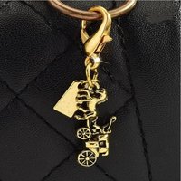 Perfect As Bag Charm, Car Keyring or Jewelry Gift Luxury Flower Dinosaur Y2K Keychain For Women;