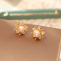 Fashionable and exquisite zircon earrings, high-end and elegant earrings, niche light luxury silver needle commuting earrings