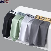 Comfort Ice Silk Men's Underwear Letter Print Youth Boxer Shorts Breathable Mesh Hole Crotch Bag Boyshorts Seamless Male Briefs