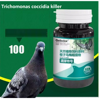 Trichomonas pigeon coccidia two-in-one infection nodular stool digestive disorders 100 tablets