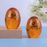3D Mosquito Amber Paper Weight Realistic Flat Bottomed Craft Ornament Unique Design Home Desktop Art Decoration