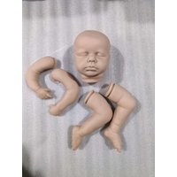 NPK 20Inch Reborn Doll Kit Loulou Limited Edition likfelike soft touch frech color kit