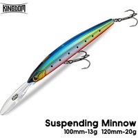Kingdom Suspending Minnow Fishing Lure 100mm 13g 120mm 20g Long Casing Artifical Swimbait Wobblers For Saltwater Bass Fishing
