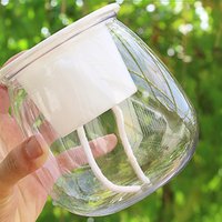 Mini Round Succulent Plant Pot Spherical Transparent Pet Flower Pot for Spider Plant Herbs Aloe Peace Lily