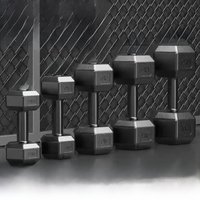 Hexagonal Dumbbells Home Fitness Equipment 5kg 10kg 15kg for Men Women Children Primary School Arm Muscle Practice Pair