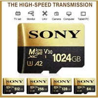 SONY Micro SD TF carte Mini 1 to carte mémoire classe 128GB 256GB haute vitesse Cartao De Memoria