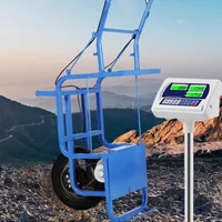 Landwirtschaftliche elektrische handbetriebene Schubkarre, Obstgartentransport, kompakte Lithiumbatterie, 24 V Efeu-Handkar (individuell)