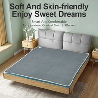 220V Electric Blanket Automatic Thermostat Electric Heating Blanket Body Warmer Thermal Mattress for Winter Home Office Use