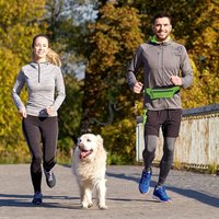 Dog Running Waist Leash Nylon Pet Traction Rope With Waist Bag Retractable Elastic Belt Reflective Buckle For Outdoor Walking