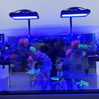 A8se II Smart Full Spectrum 215W WiFi APP Programmable Saltwater Aquarium Marine Coral Reef LED Light