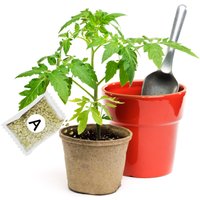 Garden Fertilizer A+B Hydroponic Plant Concentrated Easy to Use Promote Absorption Efficiency for Vegetables Flowers Grass