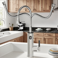 Briwellna Electric Water Heater Flowing Universal Spout Kitchen Faucet 2 in 1 Stainless Steel Electric Faucet 220V Heating Tap
