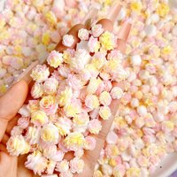 50PCS Luminous Simulated Rose Peony Camellia Resin Nail Art Charms Translucent Butterfly Soft Flower Series Nail Decorations DIY