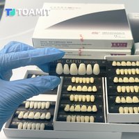Dentures Resin Teeth Posterior Anterior Full Mouth Acrylic Preformed False Tooth Teaching Model Synthetic Fake Colorful Dental