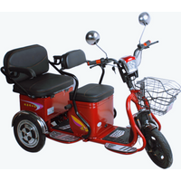 600W 60V 3 Wheel Parent Child Electric Scooter 2 Seats For Elderly With Removable Battery Electric Tricycle Adult With Passenges