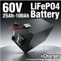 60V LiFePO4 Battery Pack – 30Ah to 100Ah | Bluetooth APP Track | 30A/50A/100A Discharge | Perfect for RV, E-Bike, Solar Storage