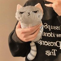 Kawaii Cat Pencil Case Plush Gray Bag Large Capacity Makeup Pouch for Girls School Office Desk Use