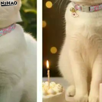 Pet Necklace Colorful Lace Flower Cat Collar Puppy Accessories Collar Bell Neck Cat Collar Adjustable Soft Durable Safe