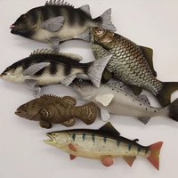 artificial food sea animals model Early learning props hotel restaurant store shop decoration fake simulation fish toys