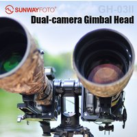 SUNWAYFOTO GH-03II Dual-camera Gimbal Head Tripod Head Dedicated for Wildlife Photography and Sports Shooting, Load 66lbs(30 kg)