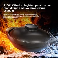 High Temperature Resistant Casserole Dish, Anti-Cracking Dry Burning, Clay Pot for Clay Pot Rice, Soup Special for Gas Stove