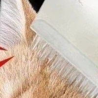 2/5/10Pcs Cat Dog Massage Brush Pet Hair Brush Multifunctional Dust Removal Sponge Cleaning Brush Simulated Cat Tongue Comb