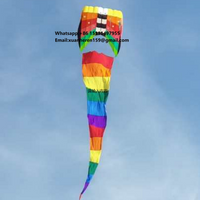 Professional Single Line Parafoil Kite