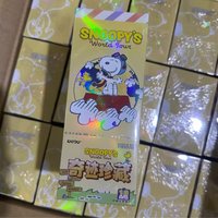 Genuine KAYOU Peanuts Snoopy Card Miracle Chapter World Travel Pack Rare SE Card Anime Collectible Card Toy Gifts