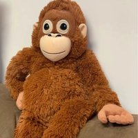 Animal Interesting Creative Orangutan Plush Toy Long Arm Cute Hanging Stuffed Soft Toy For Kid Bedroom Decor Wholesale Xmas Gift