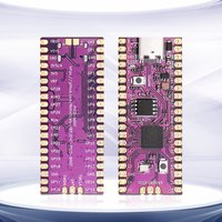 Bitfunx PICOboot Raspberry Pi Pico Board RP2040 Dual-Core 264KB ARM 16MB Flash Microcomputer ortex-M0+ with USB TYPE-C For NGC