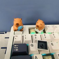Handmade DIY Custom Keycap Kapibara Hold Fish Cute Keycaps for Mechanical Keyboard Caps Resin Artisan Key Caps Toy Holiday Gifts