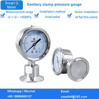 Stainless steel sanitary clamp 50.5 Chuck Flat film pressure gauge -0.1 ~ 100MPa pressure range for food and milk