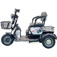 Adult Leisure Electric Tricycle Mobility Scooter with Foldable Seat for the Disabled