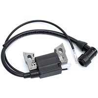 Ignition Coil For 152F 154F Gas Generator High Voltage Coil Generator Parts
