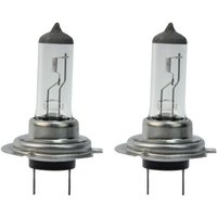 2Pcs Car H7 Xenon Headlight 12V 55W 6000K Halogen White Light Lamp Bulbs Auto Fog Lamp Car Halogen Bulb