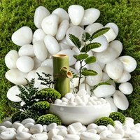 350/700g High Polished White Pebbles Indoor Outdoor Garden Courtyard Fish Tank Aquarium Horticultural Decoration Cobblestone XJM