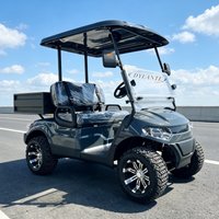Golf Cart Electric Powered 5KW Electric Truck Street Legal 48V 60V 72V Lithium Powered Hunting 2 Seater Golf Cart