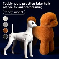 Symulacja psa Teddy, trening pielęgnacji sierści, sztuczna głowa psa do ćwiczeń, standardowy model Teddy, sztuczna głowa, szkielet, model, trener pielęgnacji zwierząt.